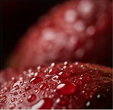Fruto do café com gotas de água, em detalhe